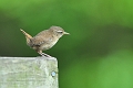 19 05 14_4480_edited-1